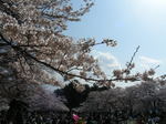 光が丘公園1