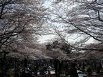 光が丘公園3