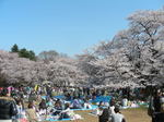 光が丘公園4
