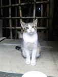 2010-0829-002.jpg