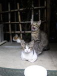 2010-0829-003.jpg
