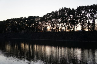 DSC000640003.JPG