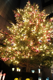 DSC000940003.JPG