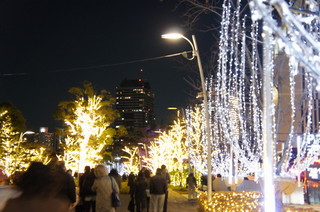 DSC002060003.JPG