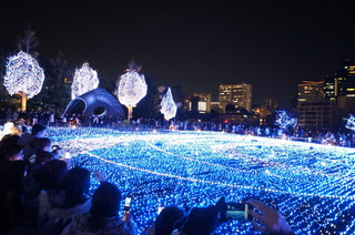 DSC002270003.JPG