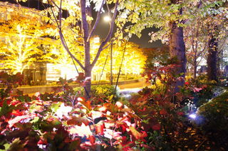 DSC012370004.JPG
