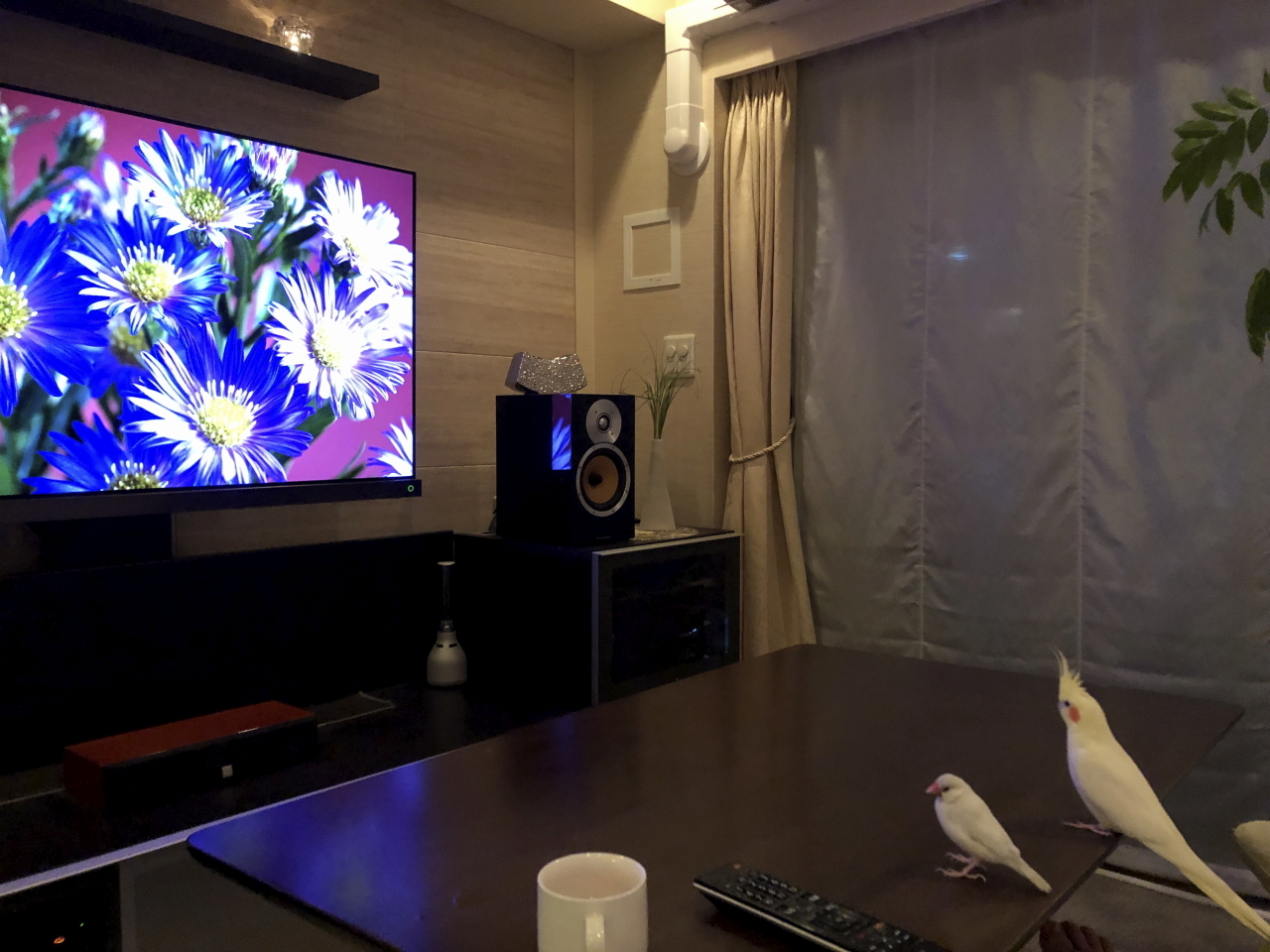 有機ELテレビ 東芝 REGZA 55X9400S 購入: 日々の記録
